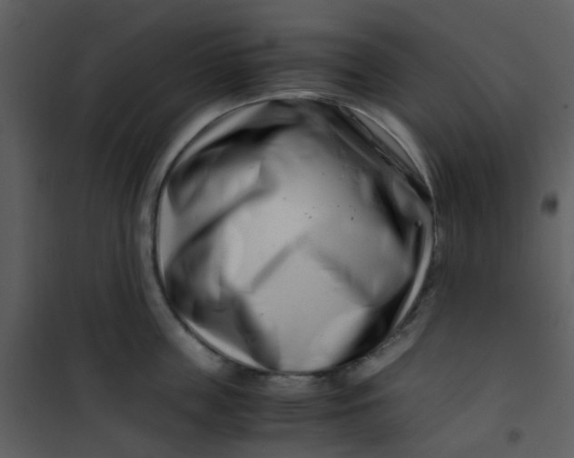 X0000101170859200807181422