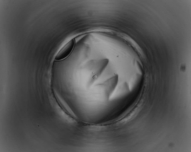 X0000101170860200807181422