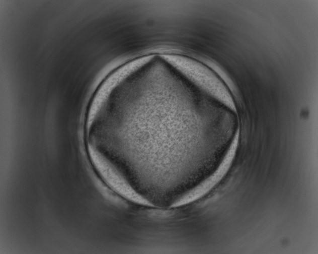 X0000101170861200807181422