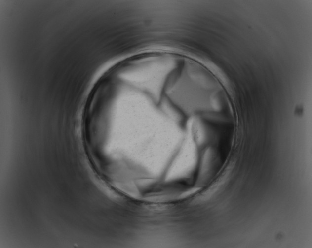 X0000101170862200807181422