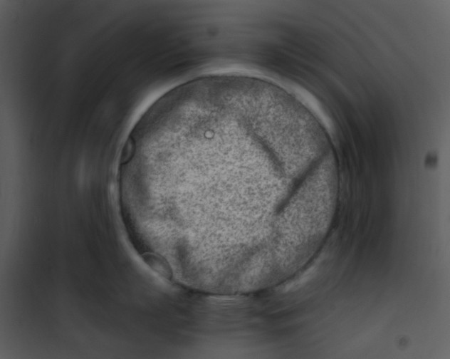 X0000101170863200807181422
