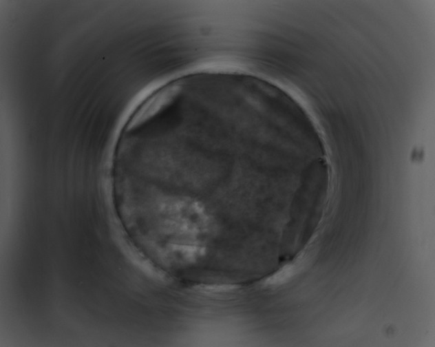 X0000101170864200807181422