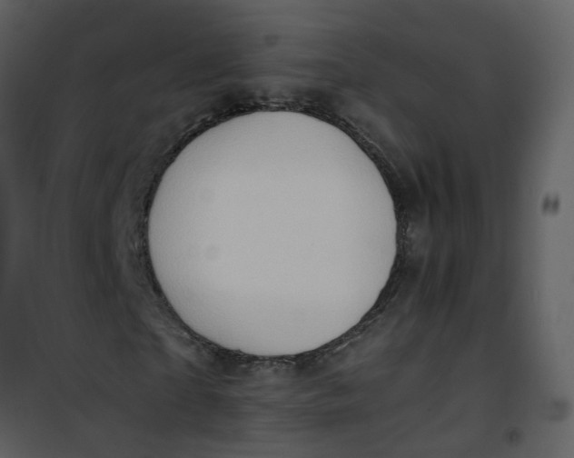 X0000101170865200807181421
