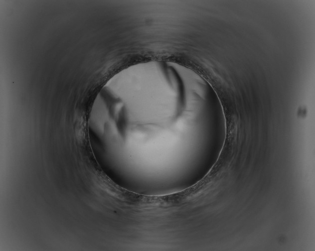 X0000101170866200807181421