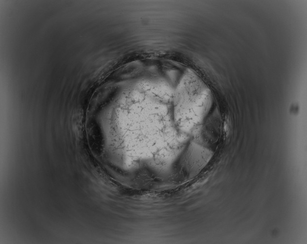 X0000101170867200807181421
