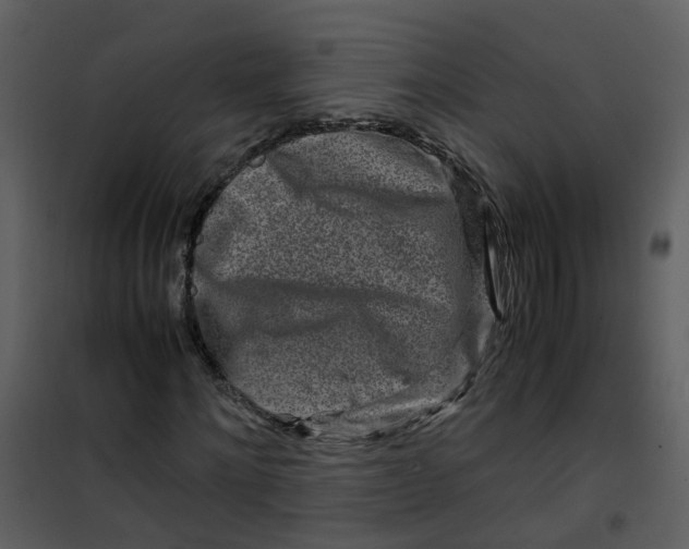 X0000101170868200807181421