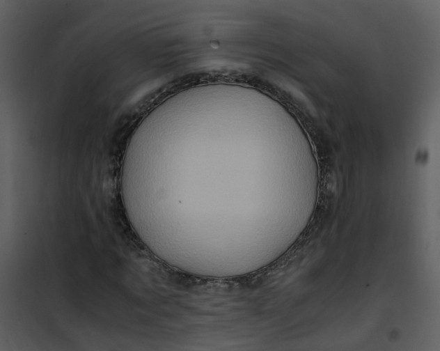 X0000101170869200807181421