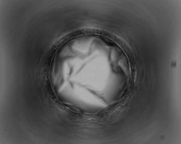 X0000101170870200807181421