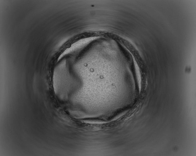 X0000101170871200807181421