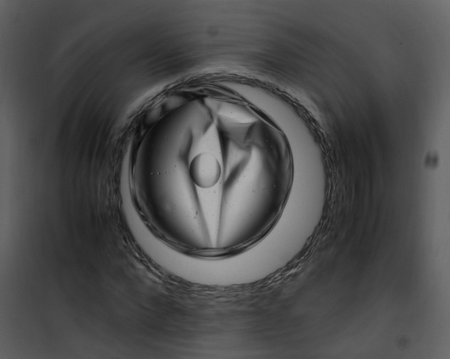 X0000101170872200807181421