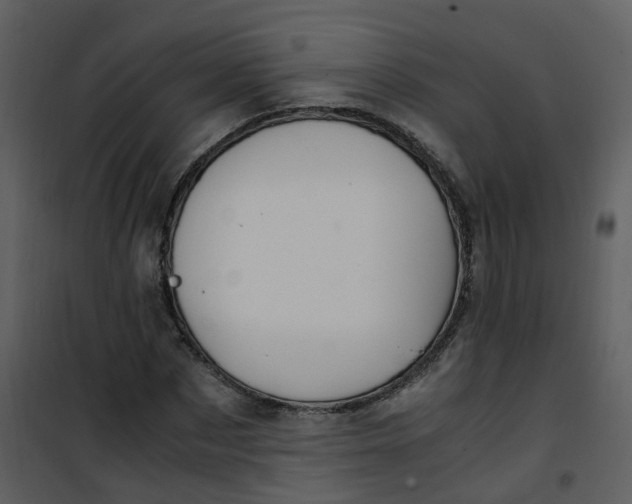 X0000101170873200807181421