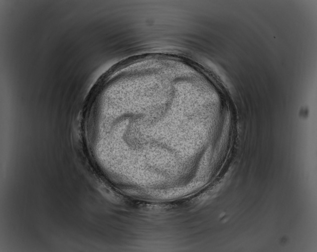 X0000101170875200807181421