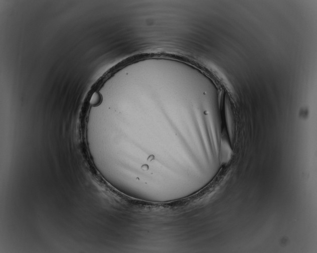 X0000101170876200807181421