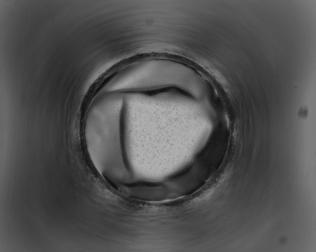 X0000101170877200807181421