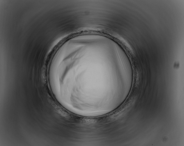 X0000101170878200807181421