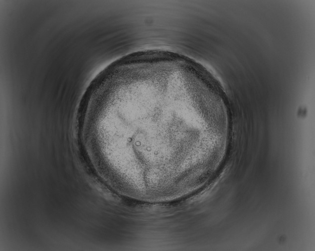 X0000101170879200807181421