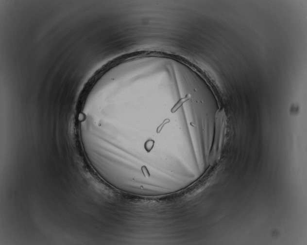 X0000101170880200807181421