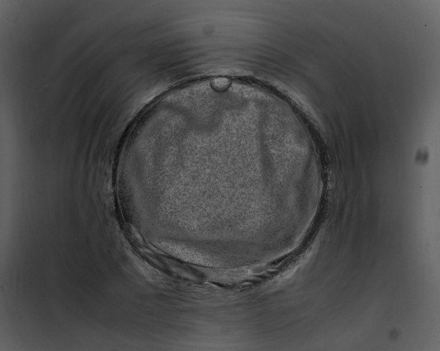 X0000101170881200807181421