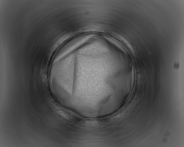 X0000101170882200807181421