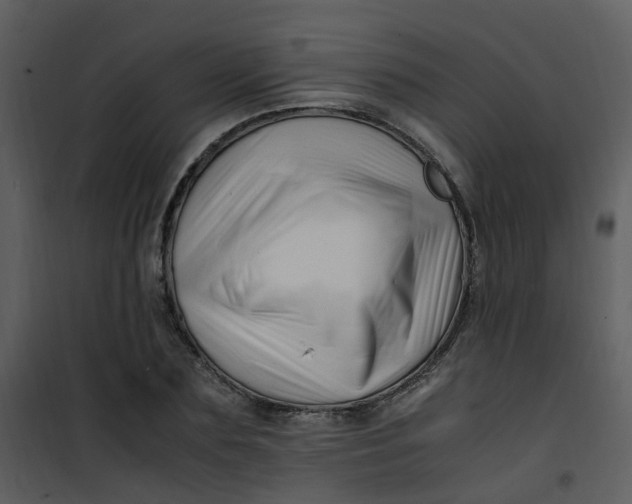 X0000101170883200807181421