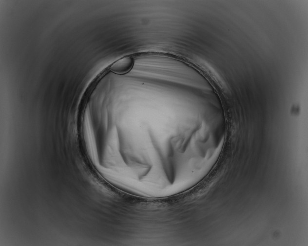 X0000101170884200807181421