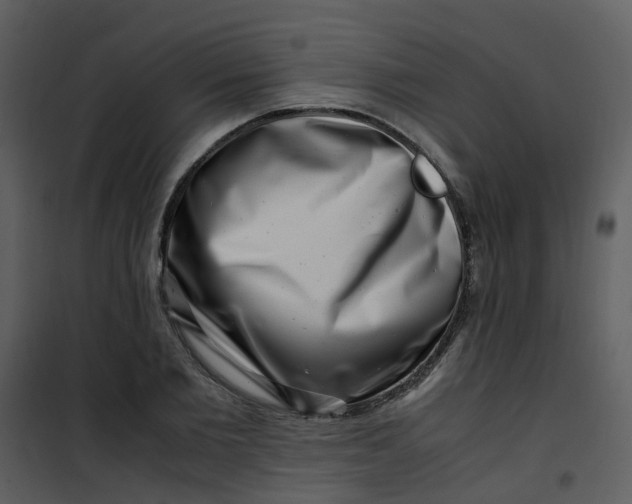 X0000101170885200807181421