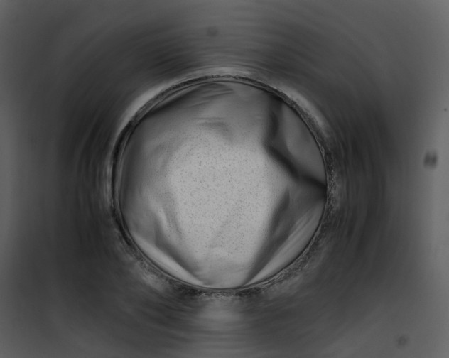 X0000101170886200807181421