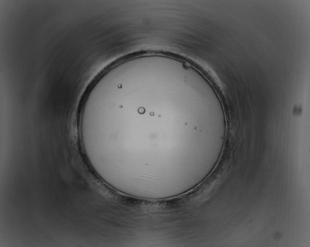 X0000101170887200807181421