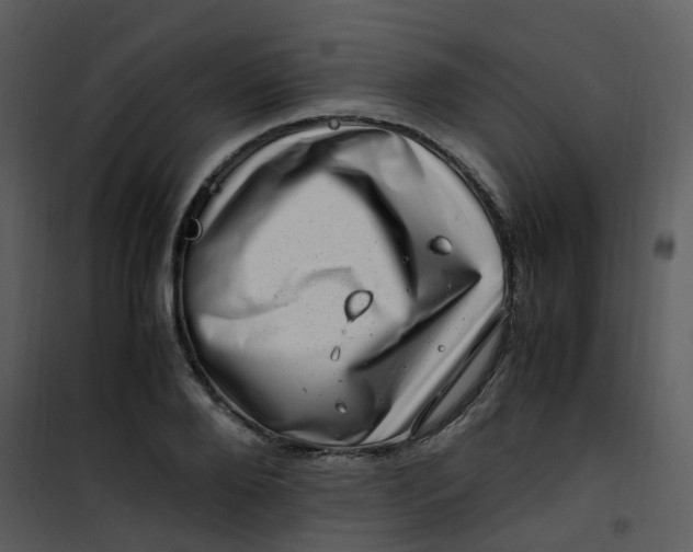 X0000101170888200807181421