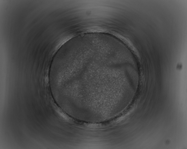 X0000101170889200807181421
