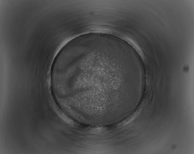 X0000101170891200807181421