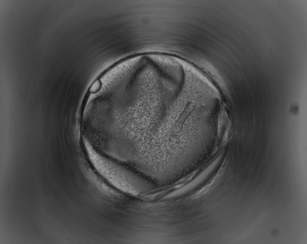 X0000101170892200807181421