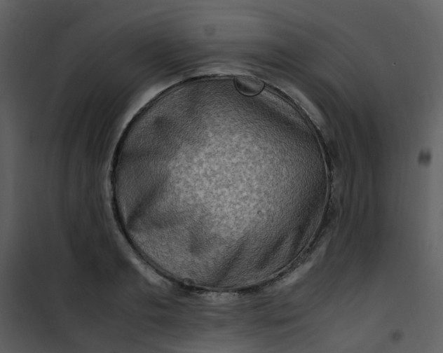 X0000101170893200807181421