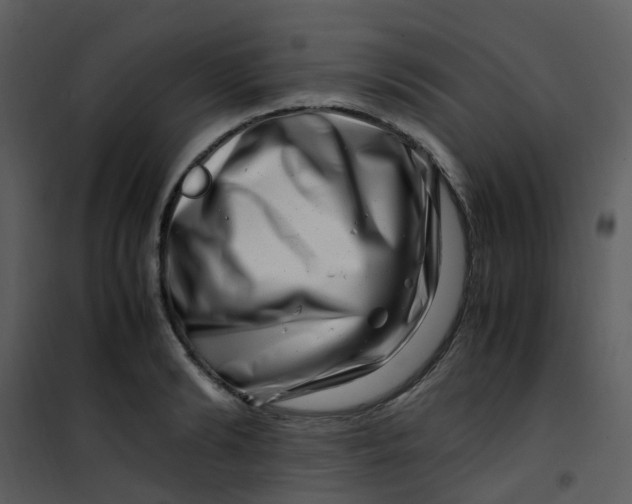 X0000101170894200807181420