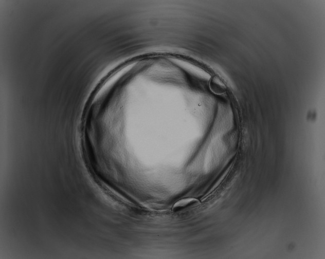 X0000101170895200807181420