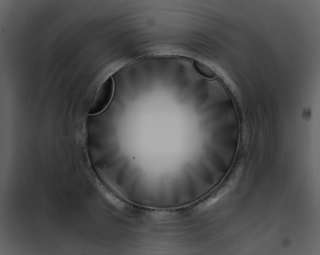 X0000101170897200807181420