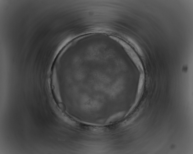 X0000101170899200807181420