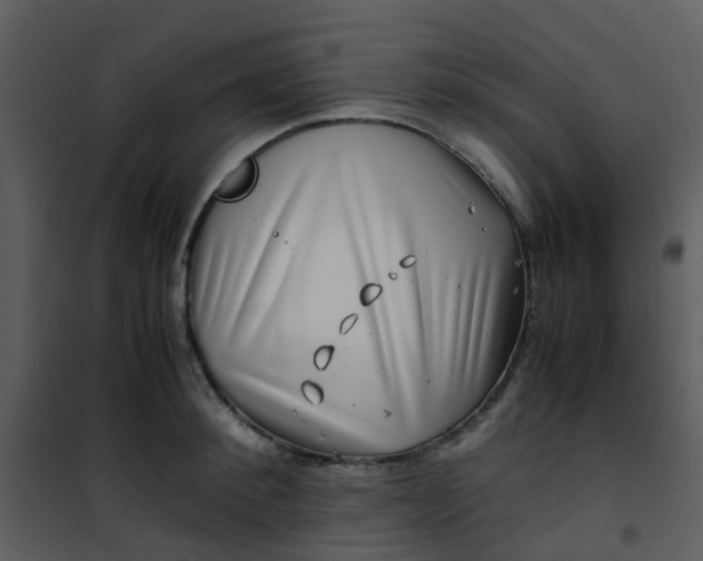X0000101170900200807181420