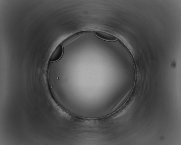 X0000101170901200807181420