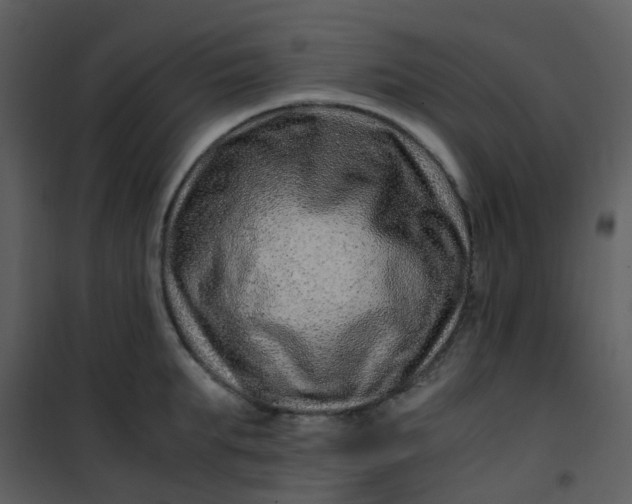 X0000101170903200807181420