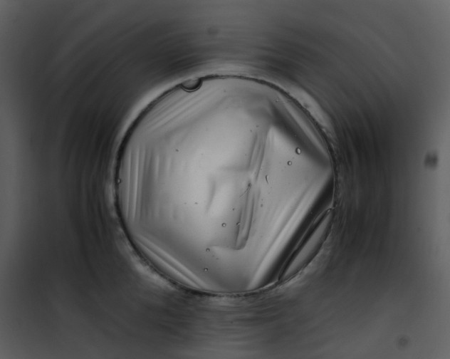X0000101170904200807181420