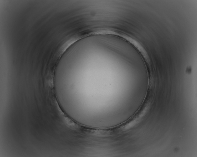 X0000101170905200807181420