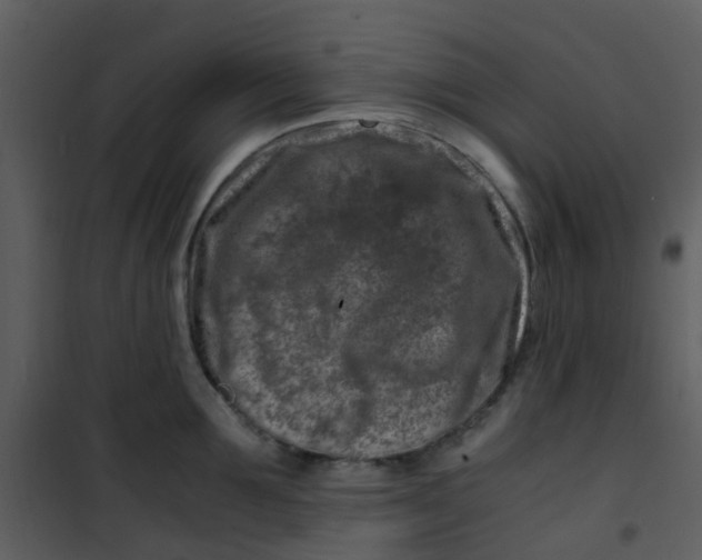 X0000101170907200807181420