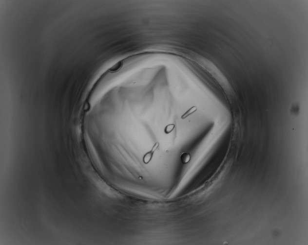 X0000101170908200807181420