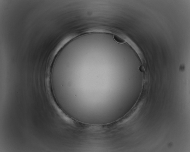 X0000101170909200807181420