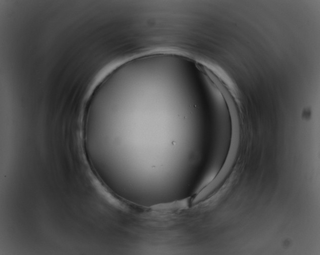 X0000101170910200807181420