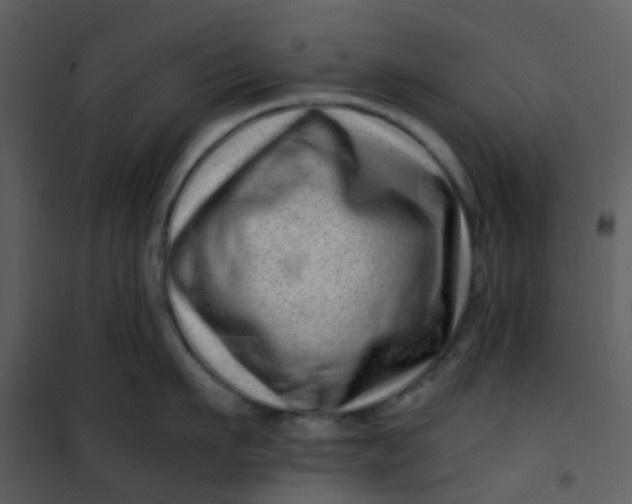 X0000101170911200807181420