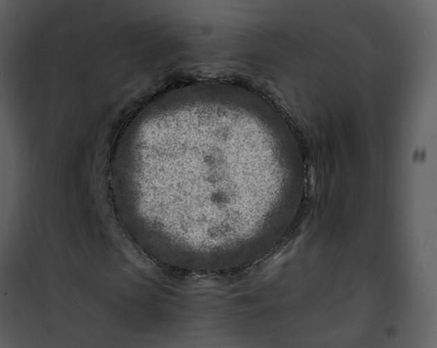 X0000101170913200807181420