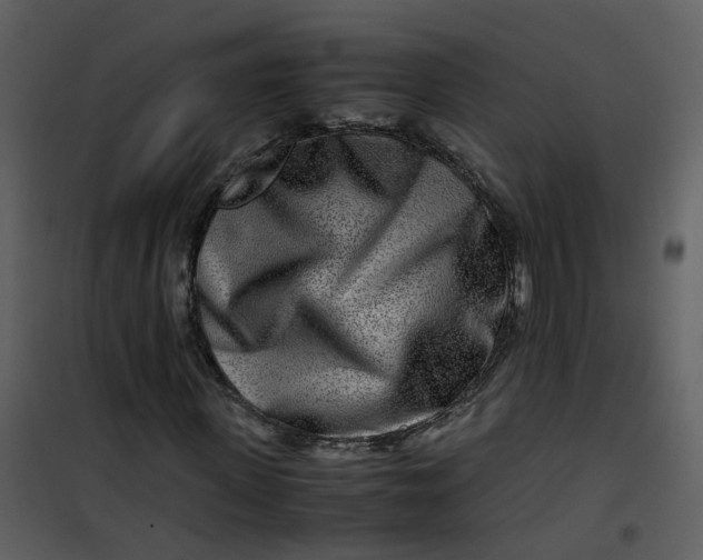 X0000101170915200807181420