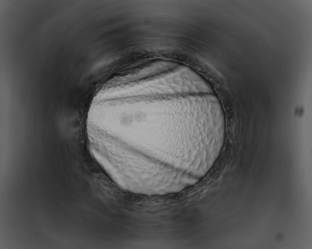 X0000101170917200807181420